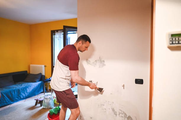 Best HVAC Mold Remediation in Hartland, WI